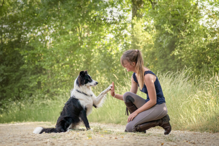 Déroulement d’une séance photo canine